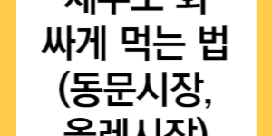 제주도 회 싸게 먹는 법 글자가 적힌 썸네일