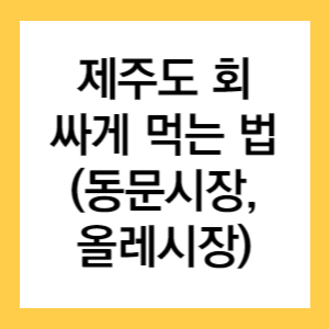 제주도-회-싸게-먹는-법-글자가-적힌-썸네일