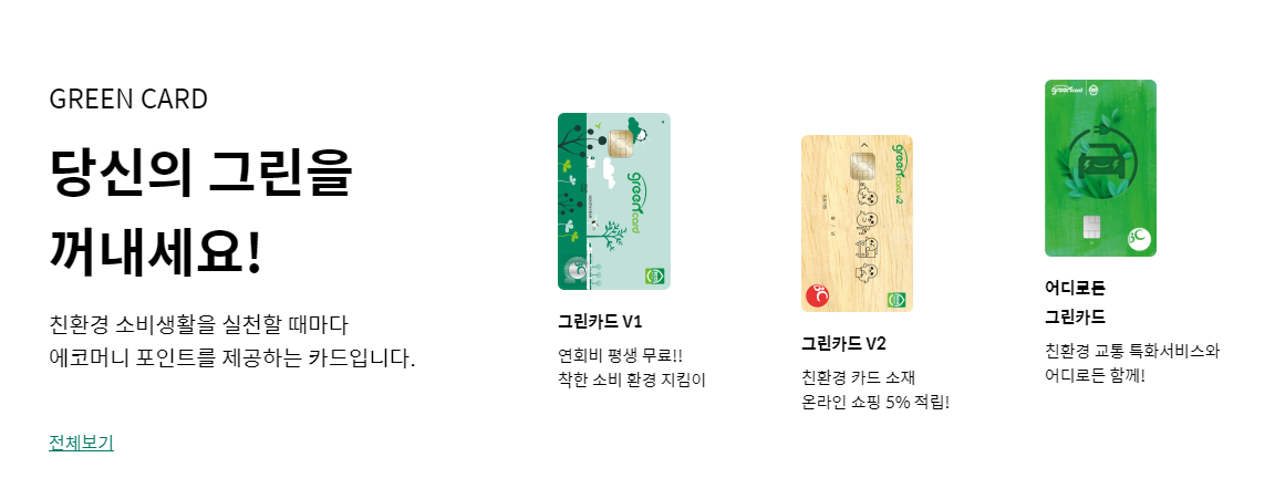 제주 그린카드 사용처에서 사용할 수 있는 그린카드 3개 설명이 나온 사진