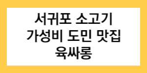 서귀포 소고기 가성비 도민 맛집 육싸롱 글자가 적힌 썸네일