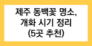 제주 동백꽃 명소 개화 시기 정리(5곳 추천) 글씨가 써진 썸네일
