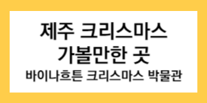 제주 크리스마스 가볼만한 곳 바이나흐튼 크리스마스 박물관 글씨가 써진 썸네일