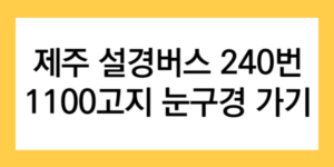 제주 설경버스 240번 1100고지 눈구경 가기 글자가 써진 썸네일