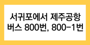 서귀포에서 제주공항 버스 800번, 800-1번 글자가 적힌 썸네일