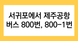 서귀포에서 제주공항 버스 800번, 800-1번 글자가 적힌 썸네일