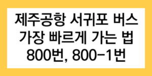 제주공항 서귀포 버스 가장 빠르게 가는 법 800번, 800-1번 글자가 적인 썸네일