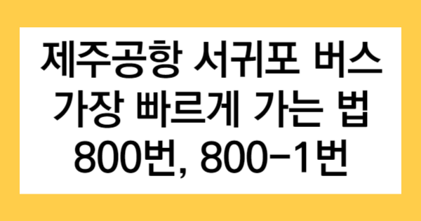 제주공항 서귀포 버스 가장 빠르게 가는 법 800번, 800-1번 글자가 적힌 썸네일