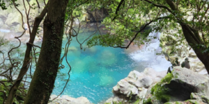 서귀포 스노쿨링 명소