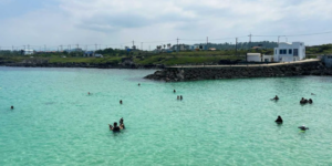 제주 스노쿨링 명소