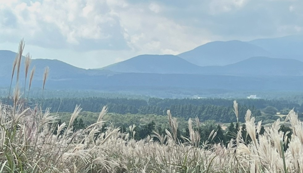 제주도 억새명소 산굼부리 사진