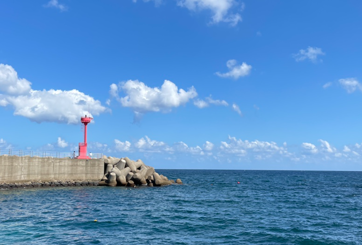 제주도 스노쿨링 명소 망장포구 사진