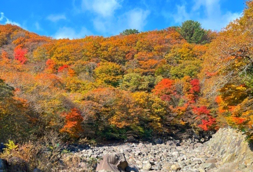 제주도 단풍 명소 천아계곡 사진