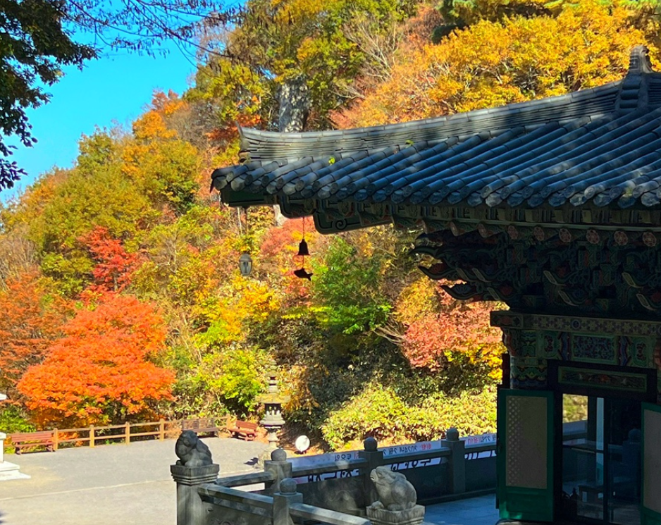 제주도 단풍 명소 천왕사 사진