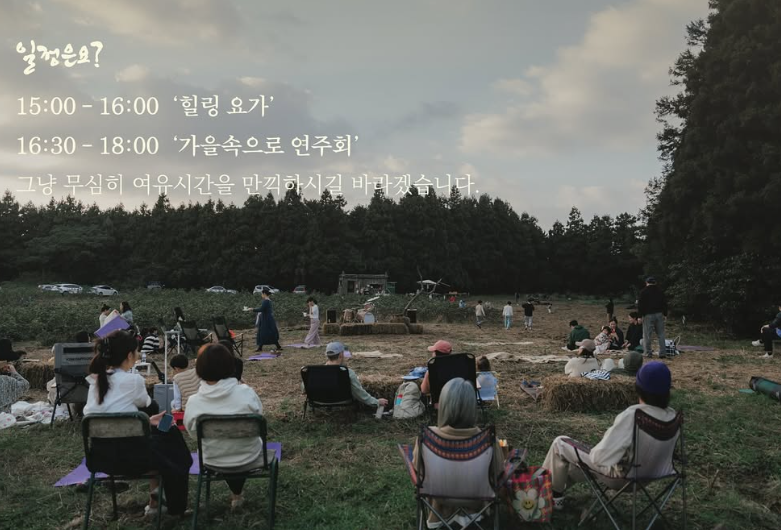 제주 11월 축제 목화오름축제 이벤트 사진