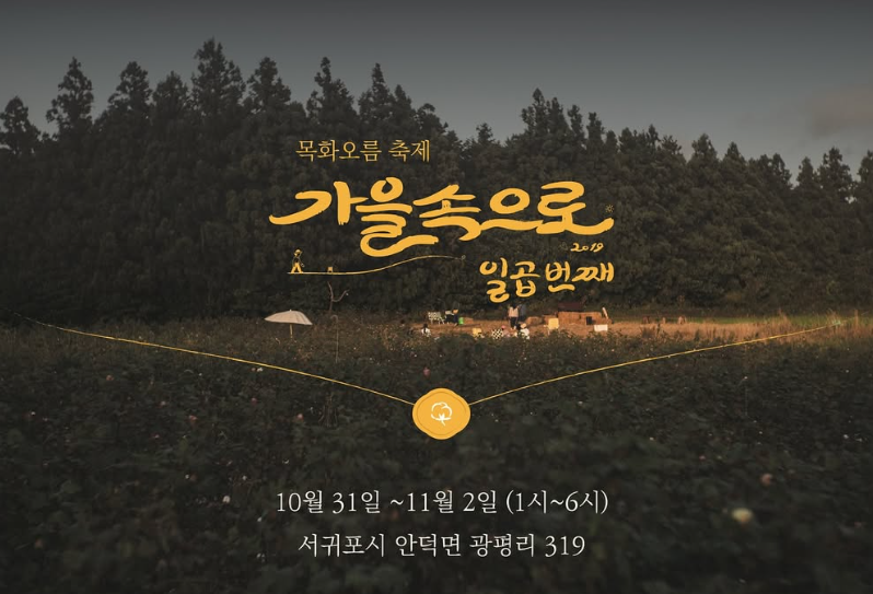 제주 11월 축제 목화오름축제 포스터